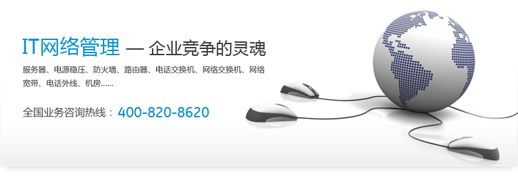 IT网络管理-企业竞争的灵魂