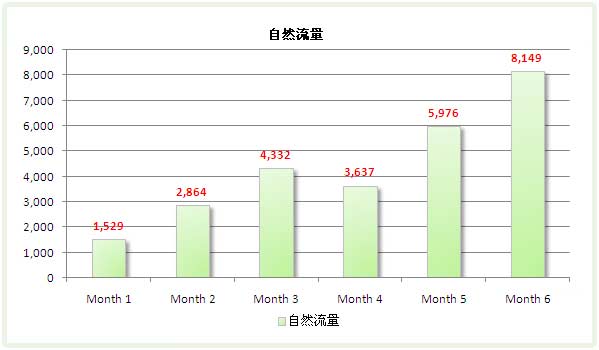 金融行业SEO案例