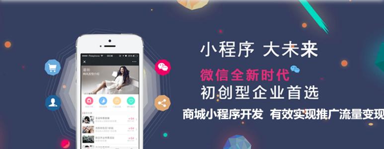 小程序开发怎样判断是模板开还是定制开发？