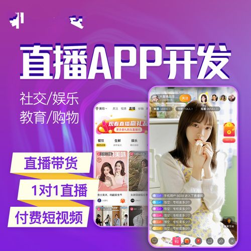 APP开发