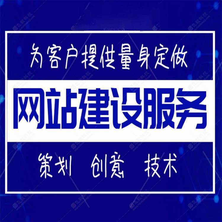 <b>B2C网站代营运方案与盈利模式分析</b>