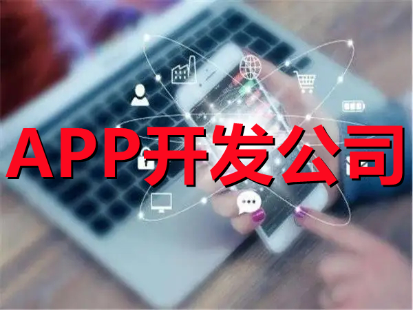 <b>电商APP开发关于非对称密码体系的算法介绍</b>