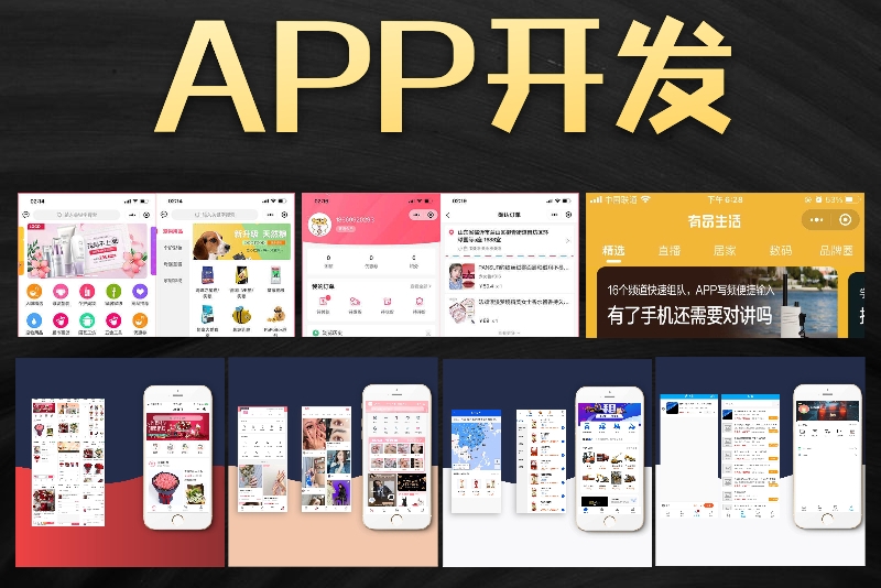 <b>定制电商APP开发价格较高的因素是什么？</b>