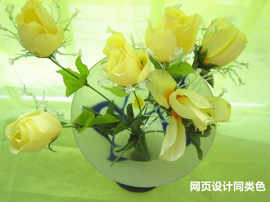 网页设计配色之同类色