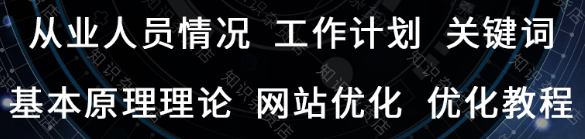 网站优化举例处理Flash的使用