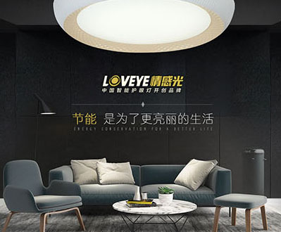 情感光灯具网站项目建设制作中