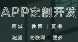 APP开发公司浅析为什么APP营销发展迅速？